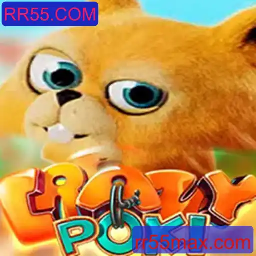 Tudo Sobre o Jogo CrazyPoki: Regras e Novidades